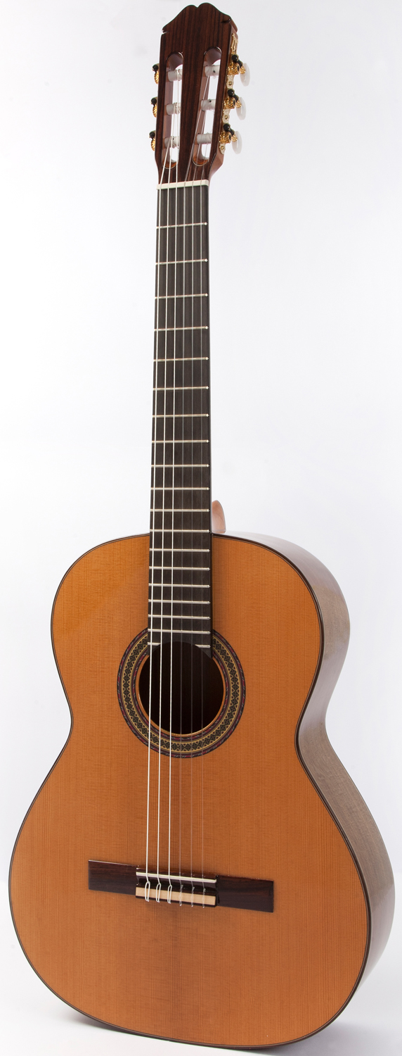 Raimundo 138 Spruce